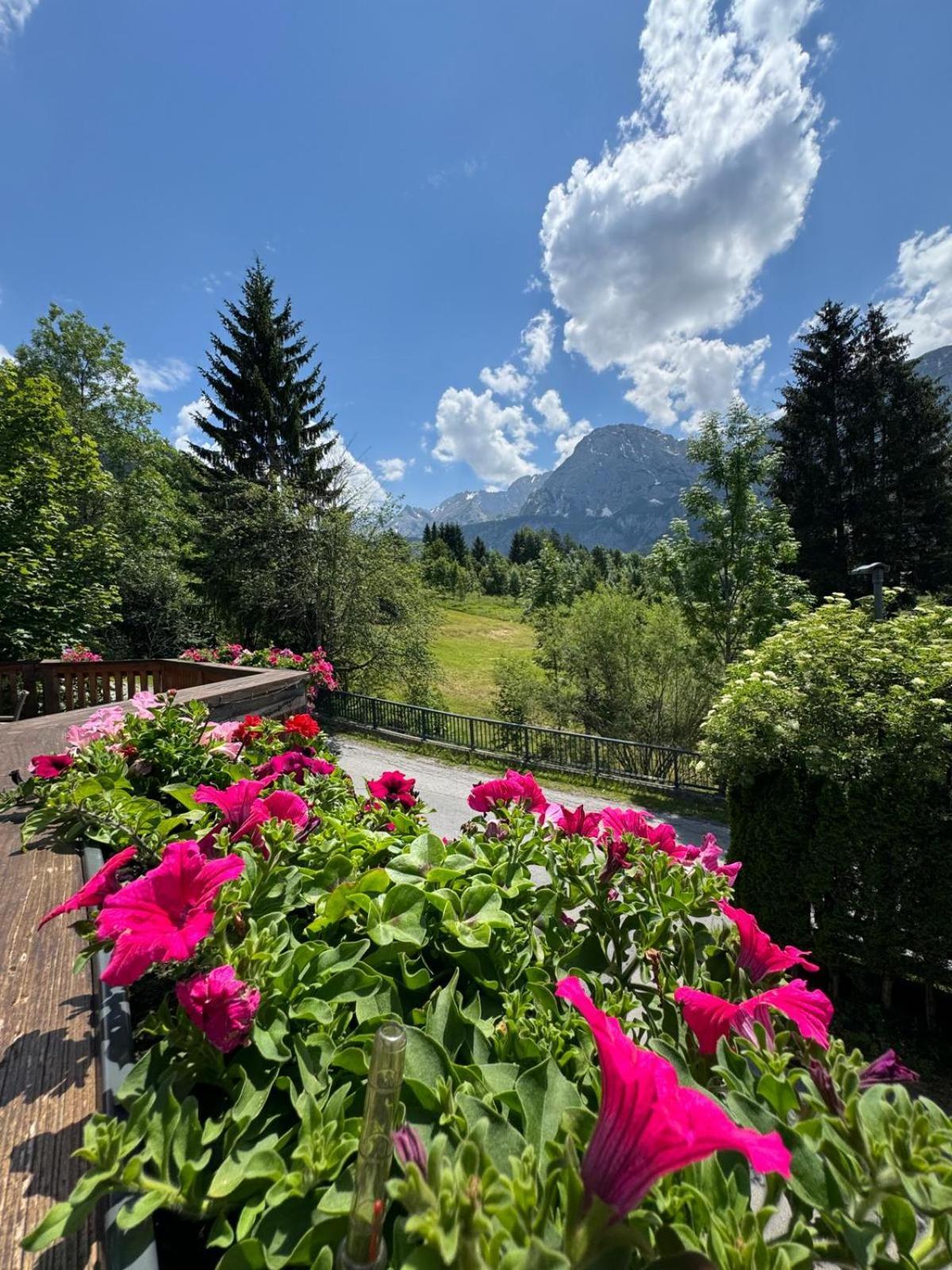 Sonnenburg Hotel Ehrwald Eksteriør billede
